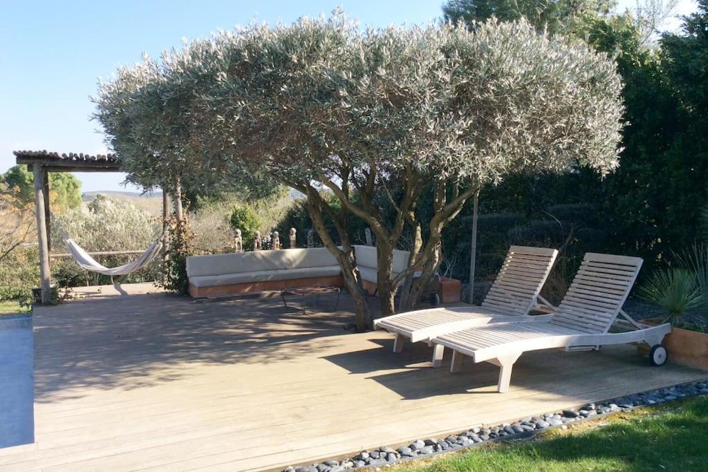 Bastide Languedocienne De Standing - Pezenas Le Clos De L'Amandier Exteriér fotografie