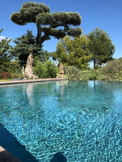 Bastide Languedocienne De Standing - Pezenas Le Clos De L'Amandier Exteriér fotografie