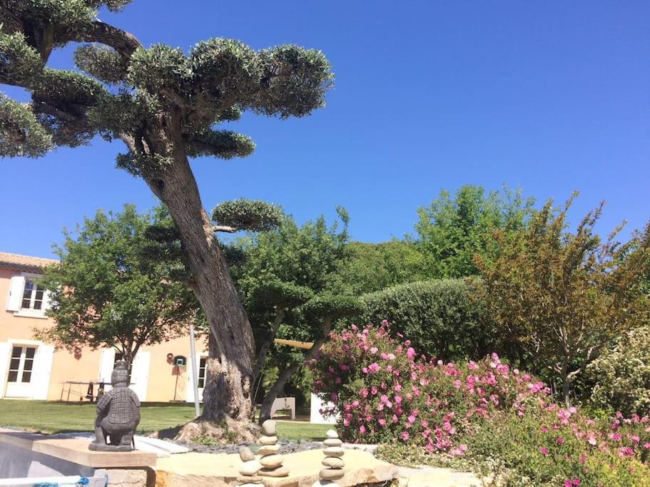 Bastide Languedocienne De Standing - Pezenas Le Clos De L'Amandier Exteriér fotografie